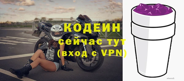 молекула духа Покров