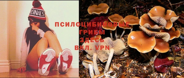 марки lsd Алексеевка