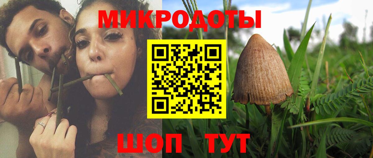 Советская Гавань  Галлюциногенные грибы Psilocybine cubensis  Вход с VPN  Галлюциногенные грибы мицелий 