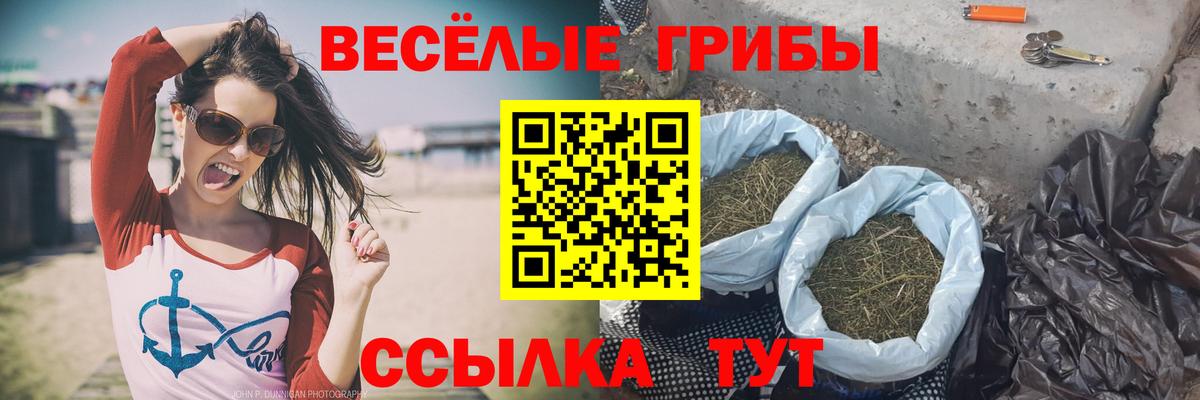 Псилоцибиновые грибы Magic Shrooms Советская Гавань